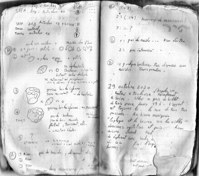  auteur autre 005_sapa 