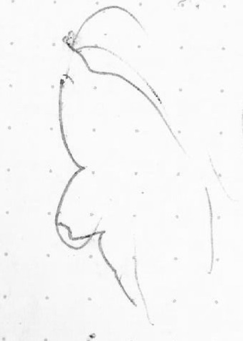  auteur autre 042_mlo_01 