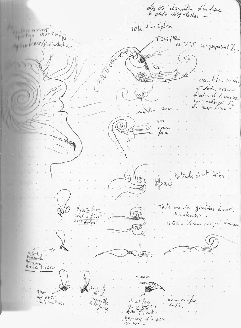  auteur autre 066_o_sang_03_np 