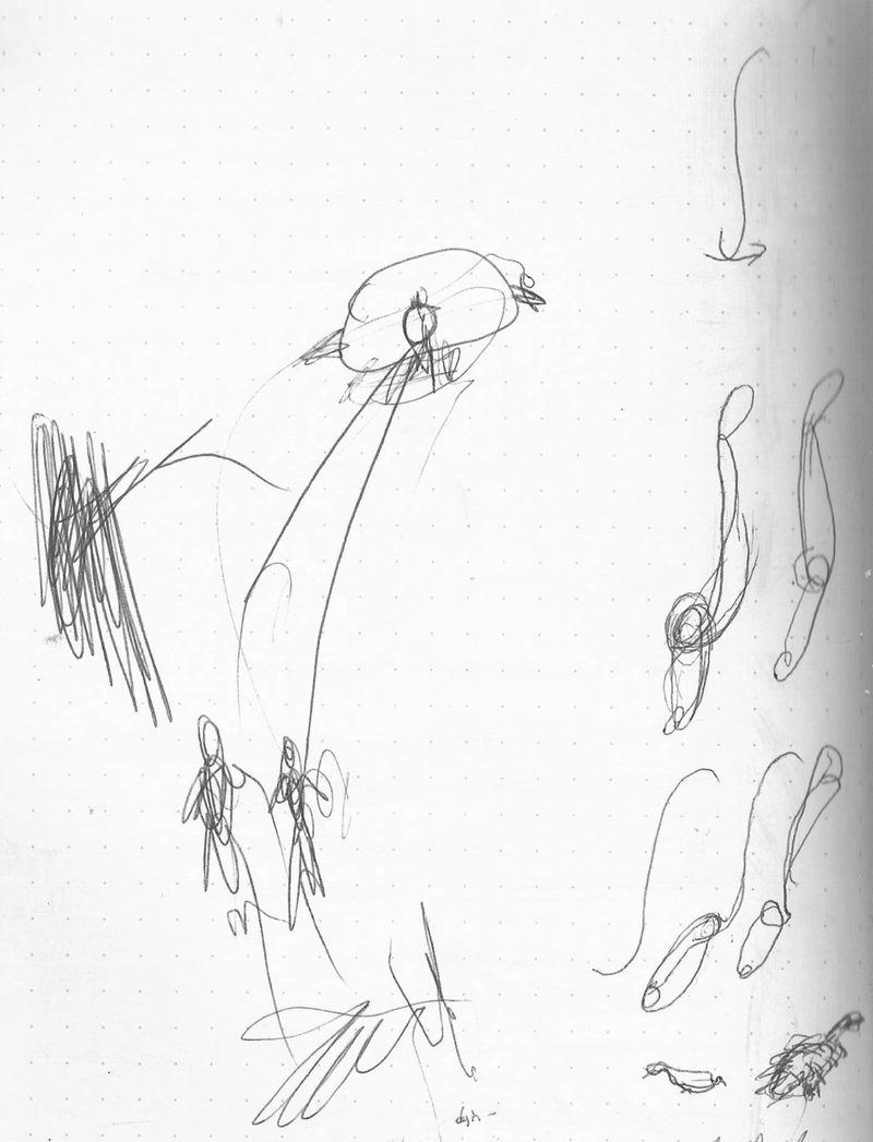  auteur autre 071_sss_dsr 