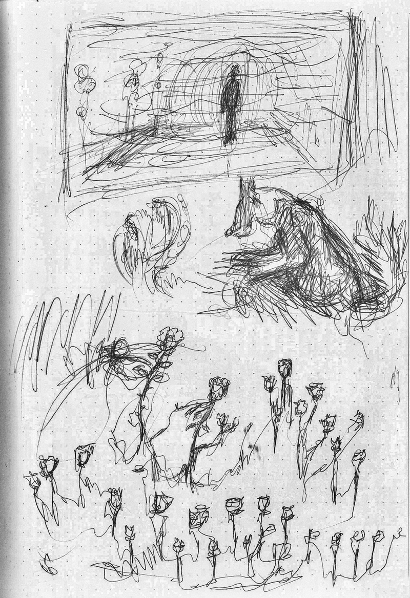  auteur autre 155_rassmergerose 