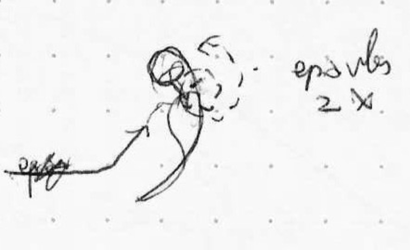  auteur autre 157_o_00 